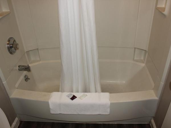 Red Carpet Inn - Louisville : photo 5 de la chambre studio lit king-size