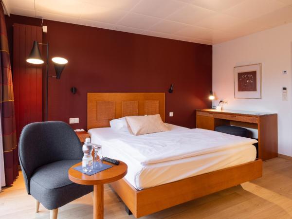 Engimatt City & Garden Hotel : photo 4 de la chambre chambre double confort avec balcon