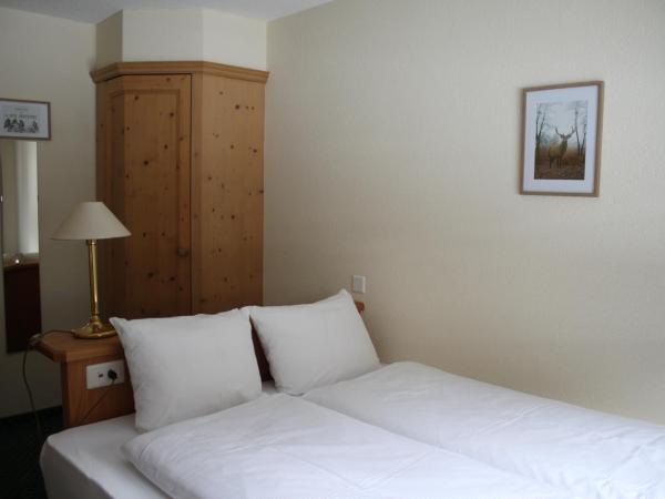 Grichting Hotel & Serviced Apartments : photo 1 de la chambre chambre double