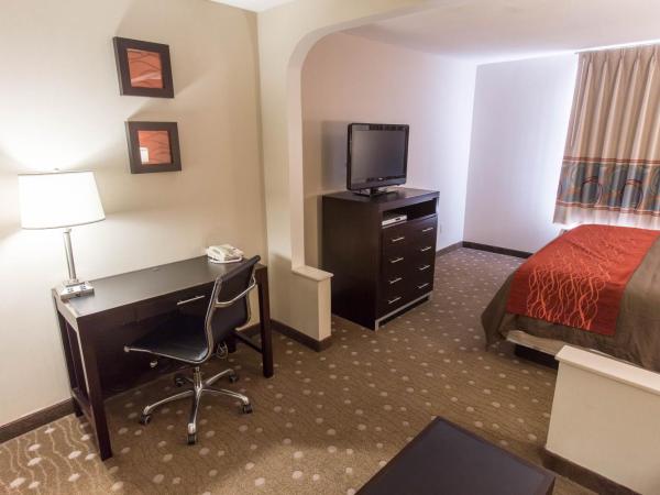 Comfort Inn : photo 4 de la chambre suite lit king-size – non-fumeurs