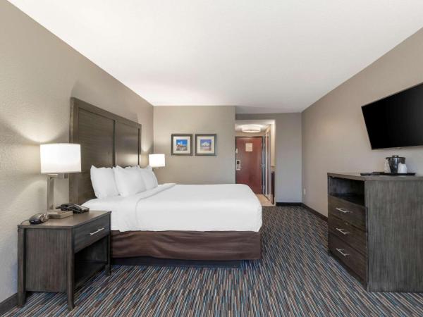 Comfort Inn & Suites Near Medical Center : photo 2 de la chambre chambre lit king-size