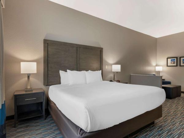 Comfort Inn & Suites Near Medical Center : photo 2 de la chambre suite lit king-size – non-fumeurs