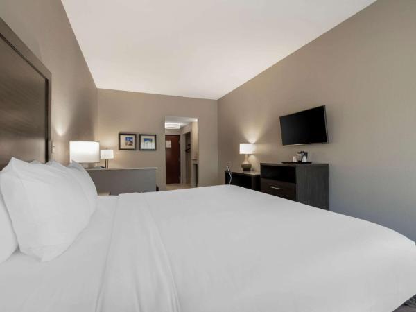 Comfort Inn & Suites Near Medical Center : photo 3 de la chambre suite lit king-size – non-fumeurs
