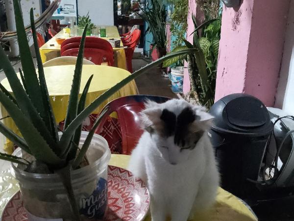 Hostel Torre Bahia : photo 1 de la chambre chambre familiale