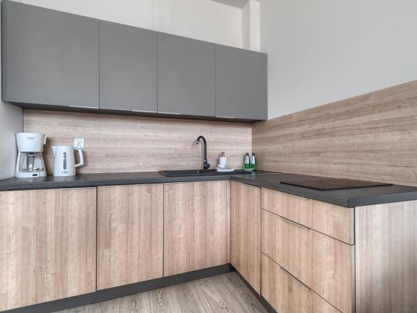 Aparthotel Platinum : photo 10 de la chambre appartement 1 chambre