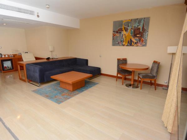 Holiday Inn Istanbul City, an IHG Hotel : photo 3 de la chambre suite lit queen-size exécutive