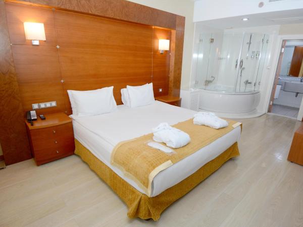 Holiday Inn Istanbul City, an IHG Hotel : photo 2 de la chambre suite lit king-size exécutive - non-fumeurs