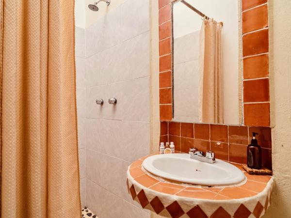 Mezcal Hostel : photo 9 de la chambre chambre quadruple avec salle de bains privative