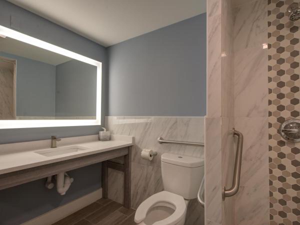 Clarion Pointe Tampa-Brandon Near Fairgrounds and Casino : photo 5 de la chambre chambre lit king-size - accessible aux personnes à mobilité réduite/non-fumeurs