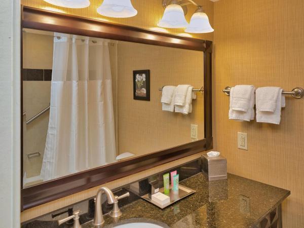 Wyndham Grand Pittsburgh : photo 10 de la chambre chambre lit king-size - vue sur rivière