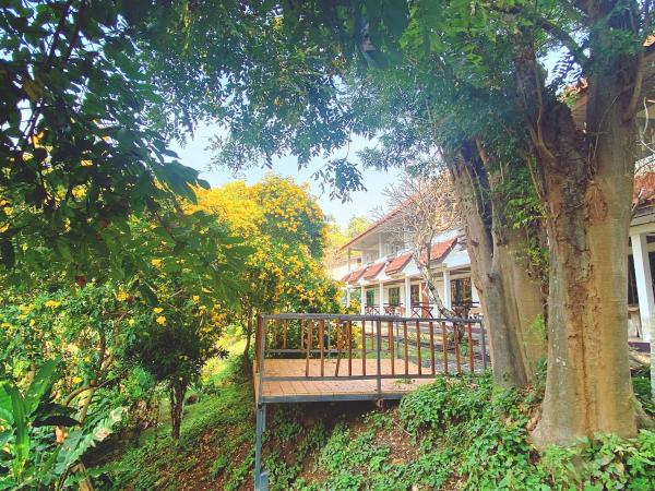 Duenshine Resort : photo 4 de la chambre chambre lits jumeaux Économique