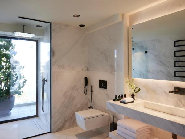 Dusit Suites Athens : photo 4 de la chambre suite - vue sur ville