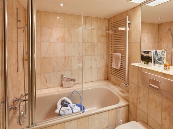 ERMITAGE Wellness- & Spa-Hotel : photo 4 de la chambre chambre simple - vue sur montagne