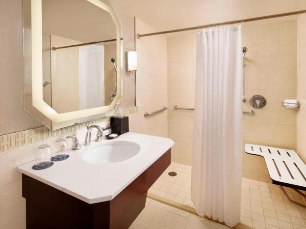 Sheraton New Orleans Hotel : photo 6 de la chambre chambre traditionnelle avec 1 lit king-size