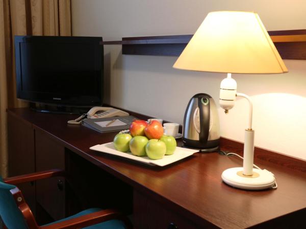 Hotel IOR : photo 4 de la chambre appartement 1 chambre