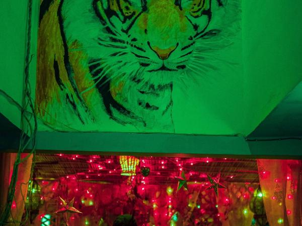 Pachamama Hostel : photo 5 de la chambre chambre double standard avec salle de bains commune