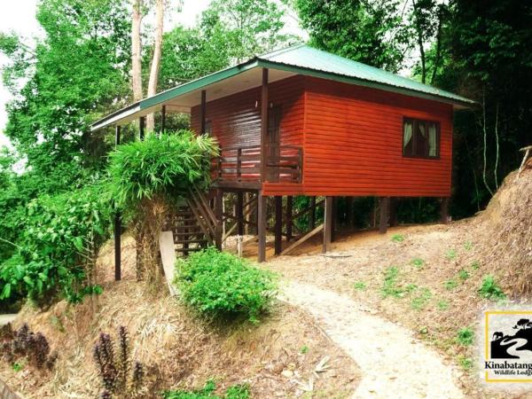 Kinabatangan Wildlife Lodge : photo 3 de la chambre chambre double avec transfert