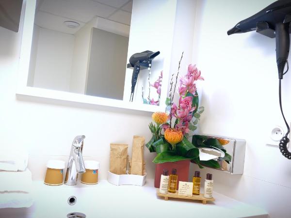 Mercure Perpignan Centre : photo 4 de la chambre chambre lits jumeaux standard