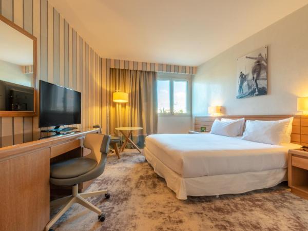 Holiday Inn Nice - Port St Laurent, an IHG Hotel : photo 3 de la chambre chambre double standard avec balcon