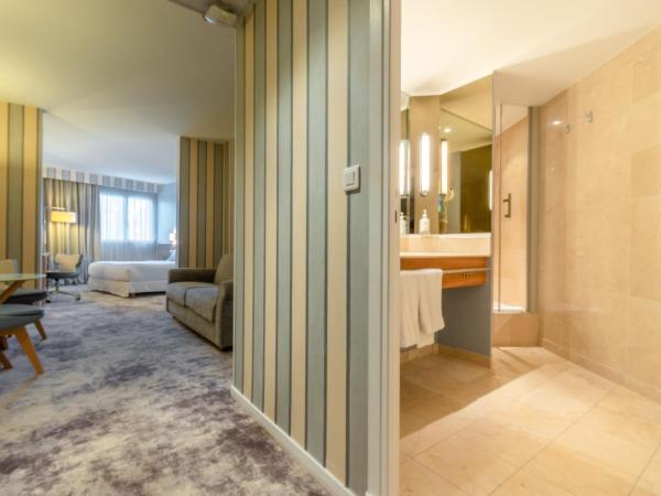 Holiday Inn Nice - Port St Laurent, an IHG Hotel : photo 1 de la chambre standard double room with sofa bed and city view