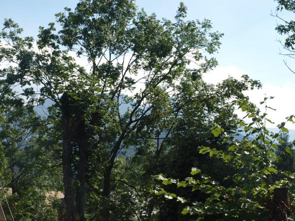 Pokoje Gościnne Żak : photo 3 de la chambre chambre lits jumeaux avec balcon