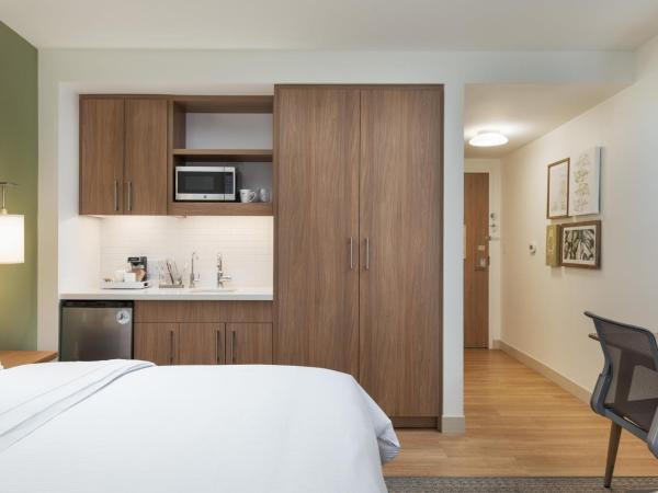 Element Denver Downtown East : photo 3 de la chambre studio 1 lit king-size