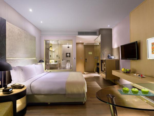 Holiday Inn New Delhi International Airport, an IHG Hotel : photo 1 de la chambre chambre premium 