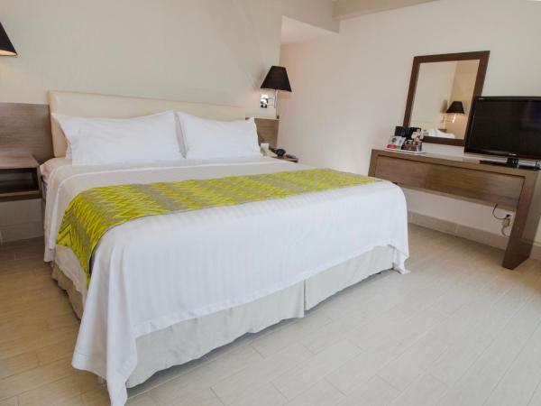 Holiday Inn Puebla La Noria, an IHG Hotel : photo 4 de la chambre chambre king standard avec vue sur ville