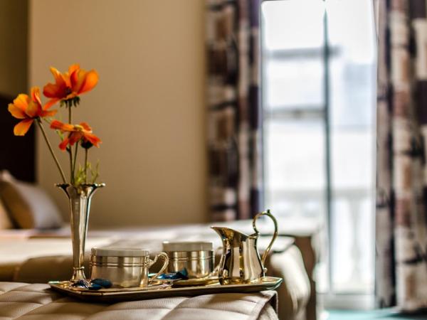 Hôtel Croix des Bretons - Lourdes Pyrénées : photo 2 de la chambre chambre simple