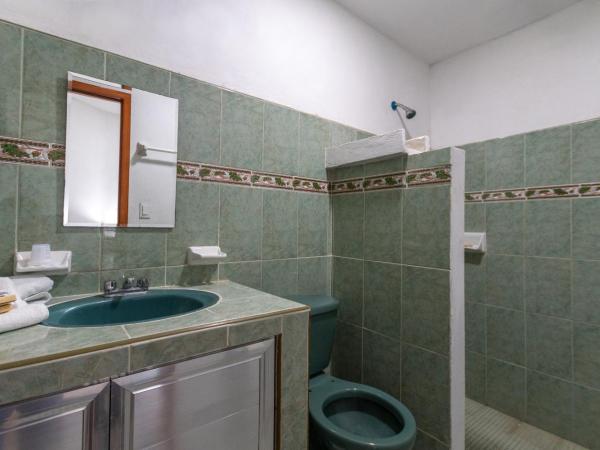 Mérida 62 : photo 3 de la chambre chambre simple avec salle de bains