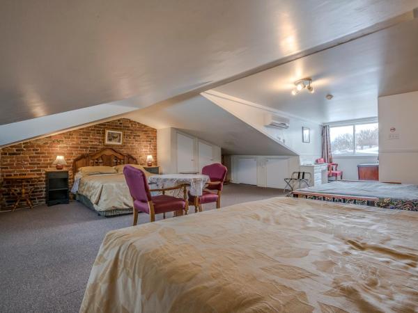 B&B Manoir Mon Calme : photo 3 de la chambre chambre avec 2 grands lits queen-size