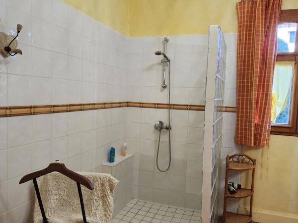 Manoir de la Maison Blanche : photo 6 de la chambre chambre triple confort avec douche