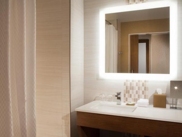 The Westin Dallas Downtown : photo 5 de la chambre 1 king bed, traditional guest room