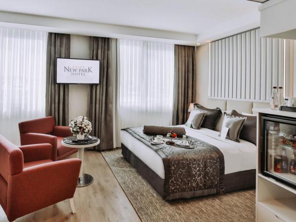 New Park Hotel : photo 2 de la chambre chambre lit queen-size deluxe