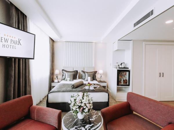 New Park Hotel : photo 8 de la chambre chambre lit queen-size deluxe