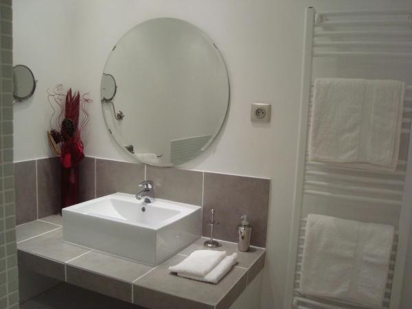 Chambres d'hôtes Les Palmiers de la Cité : photo 6 de la chambre chambre double avec douche