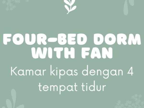 Laura's Backpacker 523 : photo 2 de la chambre lit superposé dans dortoir pour femmes