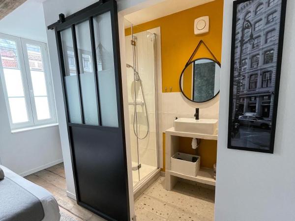 L'Annexe Amiens : photo 4 de la chambre chambre double avec salle de bains privative