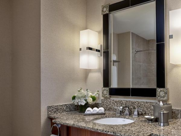 Loews New Orleans Hotel : photo 4 de la chambre chambre lit king-size deluxe - vue sur ville