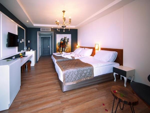 Sey Beach Hotel & Spa : photo 3 de la chambre chambre double standard