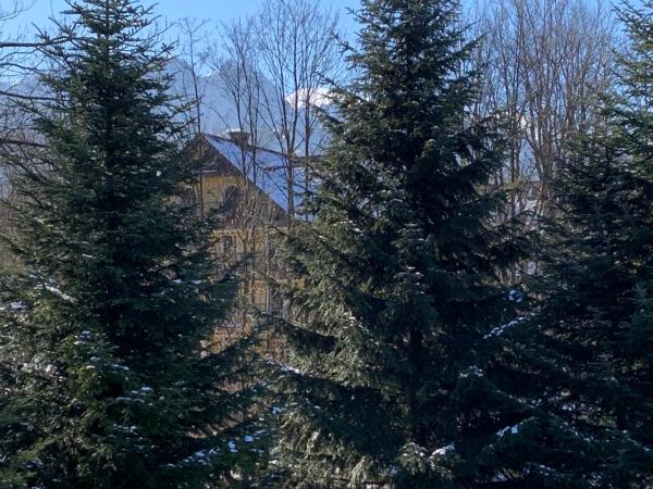 OW Jaskółka : photo 5 de la chambre chambre lits jumeaux