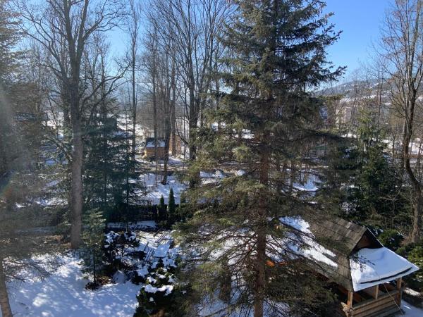 OW Jaskółka : photo 4 de la chambre chambre quadruple