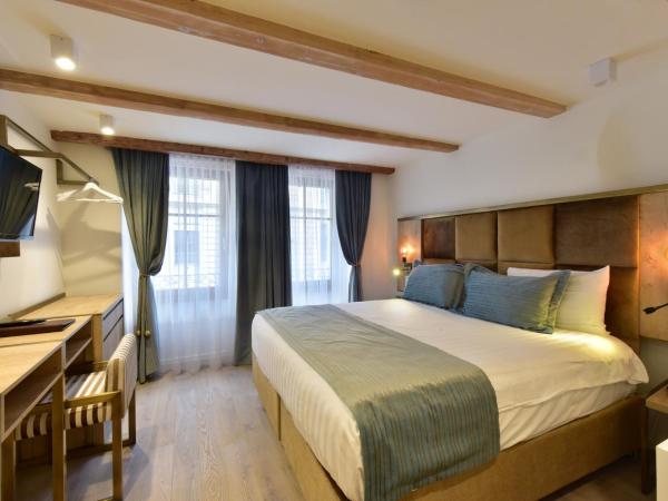 Hôtel Rousseau Plus : photo 1 de la chambre chambre double deluxe