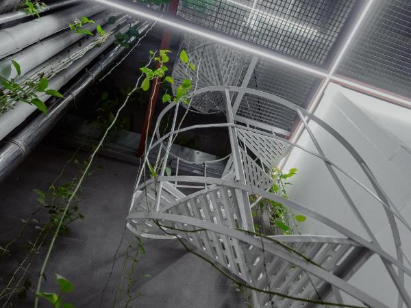 The Zillers Boutique Hotel : photo 7 de la chambre standard double room (interior corridor)