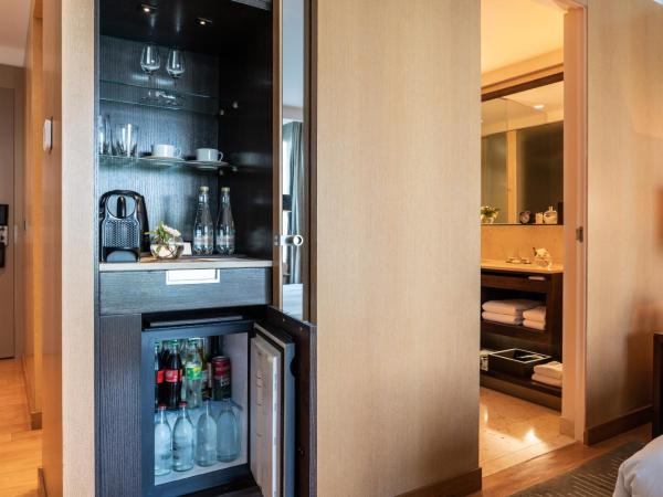 Palacio Duhau - Park Hyatt Buenos Aires : photo 8 de la chambre chambre lit king-size deluxe - vue sur jardin