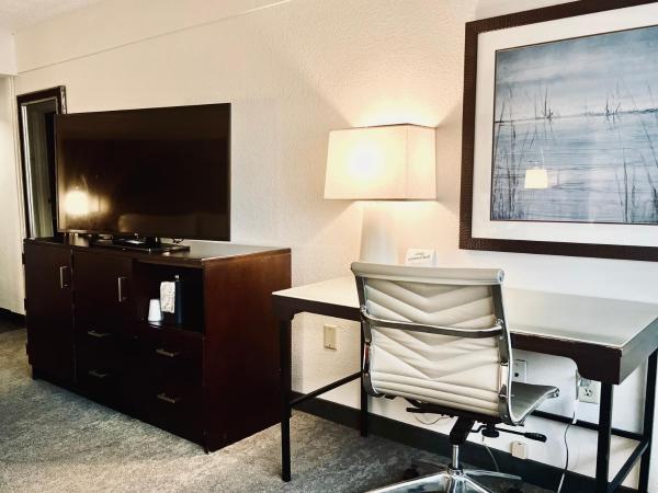 Holiday Inn Virginia Beach - Norfolk, an IHG Hotel : photo 10 de la chambre chambre standard