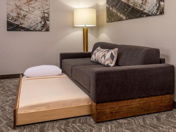 SpringHill Suites by Marriott Norfolk Virginia Beach : photo 6 de la chambre suite 2 lits doubles avec micro-ondes/mini-réfrigérateur, canapé-lit et salon