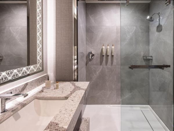 Renaissance Oklahoma City Downtown Bricktown Hotel : photo 2 de la chambre chambre lit king-size deluxe - vue sur ville