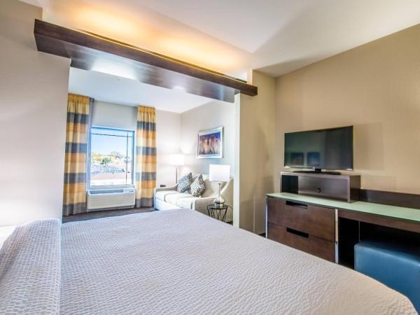 Fairfield Inn & Suites by Marriott Denver Downtown : photo 4 de la chambre suite lit king-size