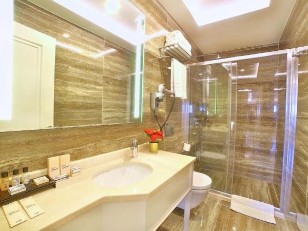 Büke Hotel Şişli : photo 6 de la chambre chambre double deluxe